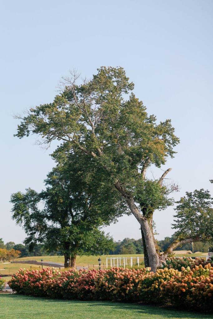 Renault Winery wedding in New Jersey